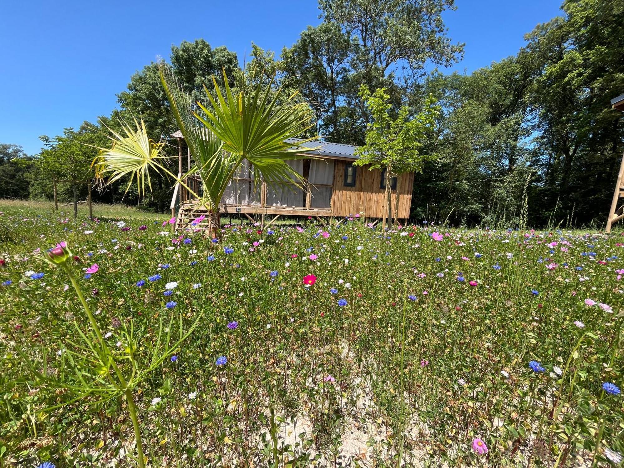La Buissonniere Lodges Chisseaux Exterior foto